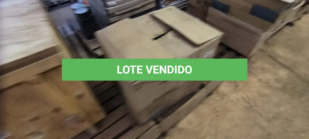 LOTE 145