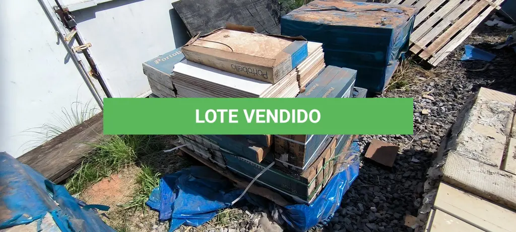 LOTE 329