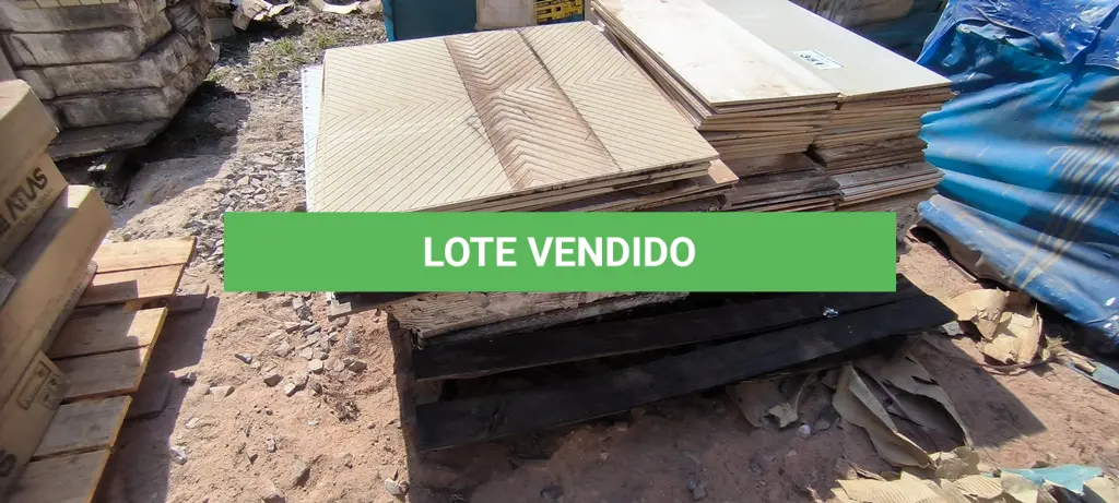 LOTE 351
