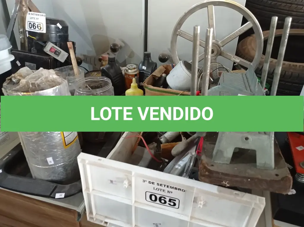 LOTE 065