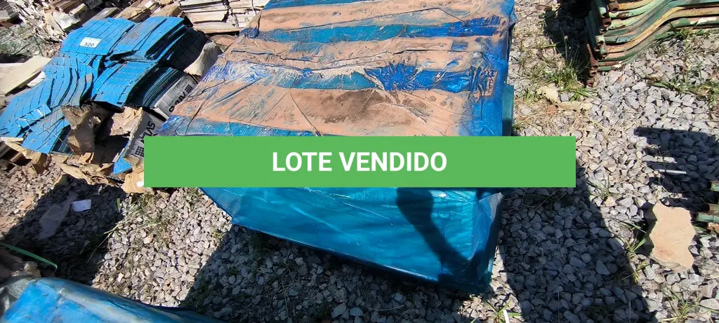 LOTE 313