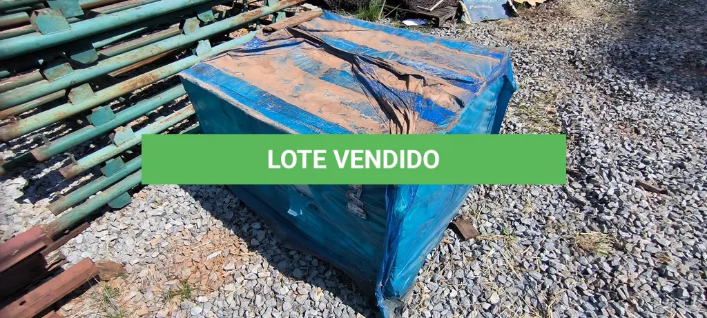 LOTE 307