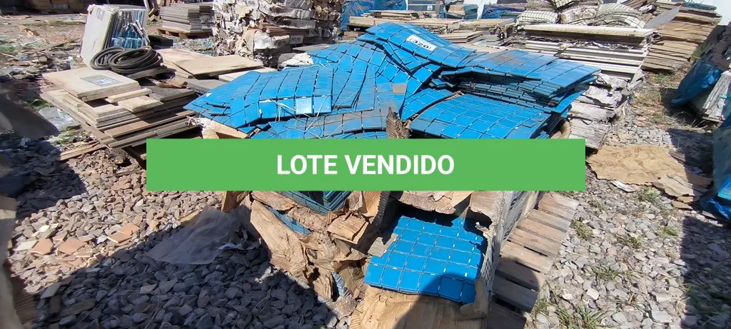 LOTE 320
