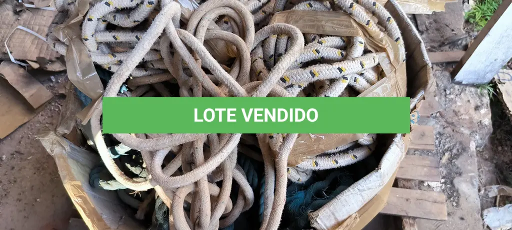 LOTE 393