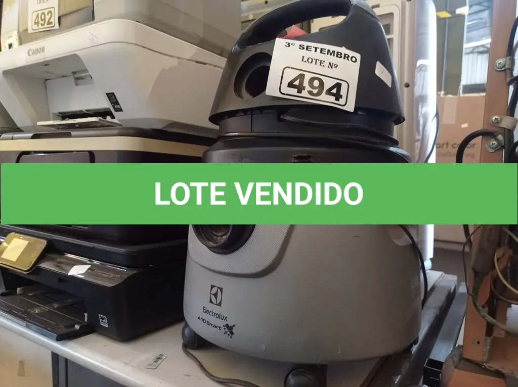 LOTE 494