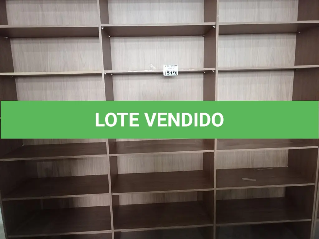 LOTE 519