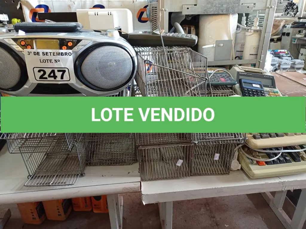 LOTE 247