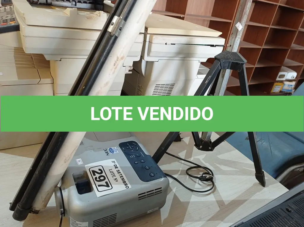 LOTE 297