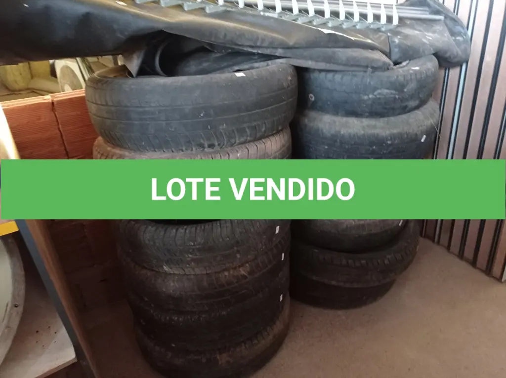 LOTE 463