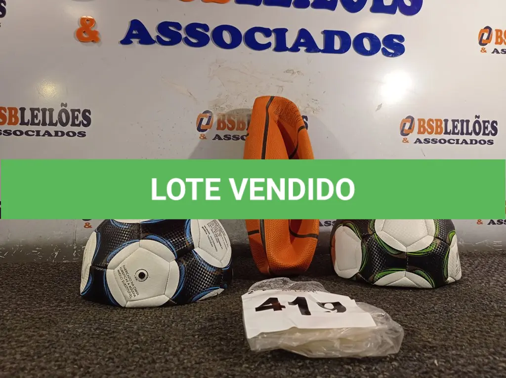 LOTE 419