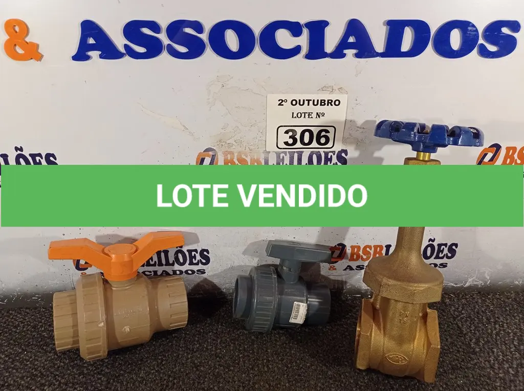 LOTE 306