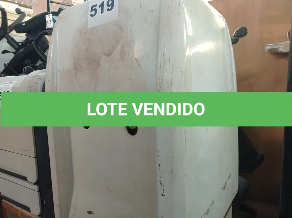 LOTE 519