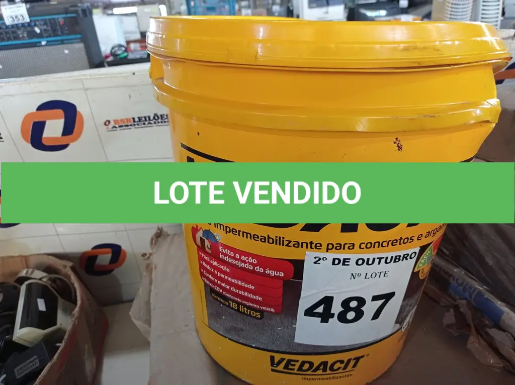 LOTE 487