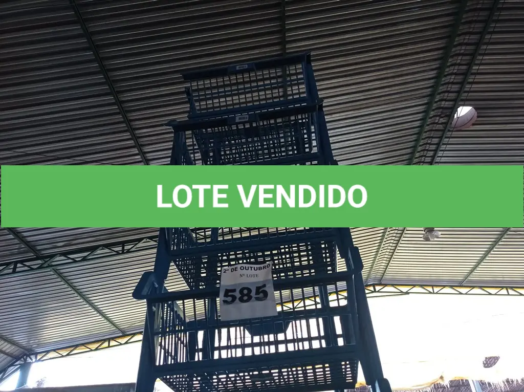 LOTE 585