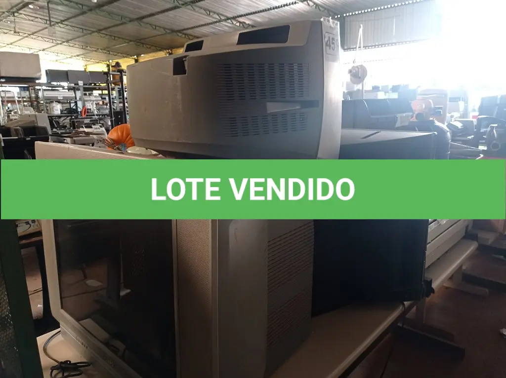 LOTE 459