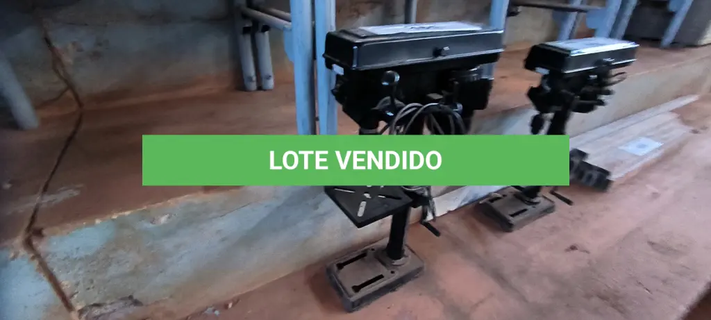 LOTE 161