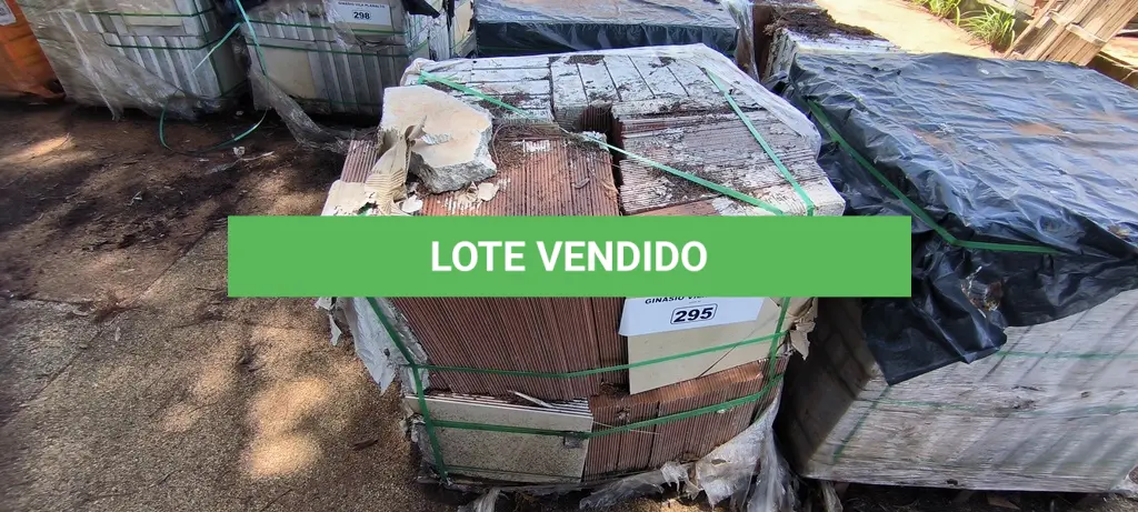 LOTE 295