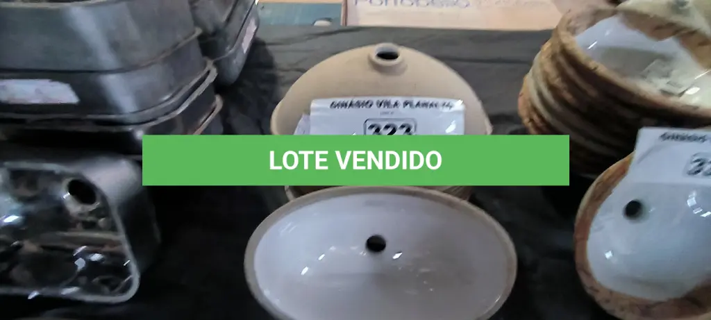 LOTE 323