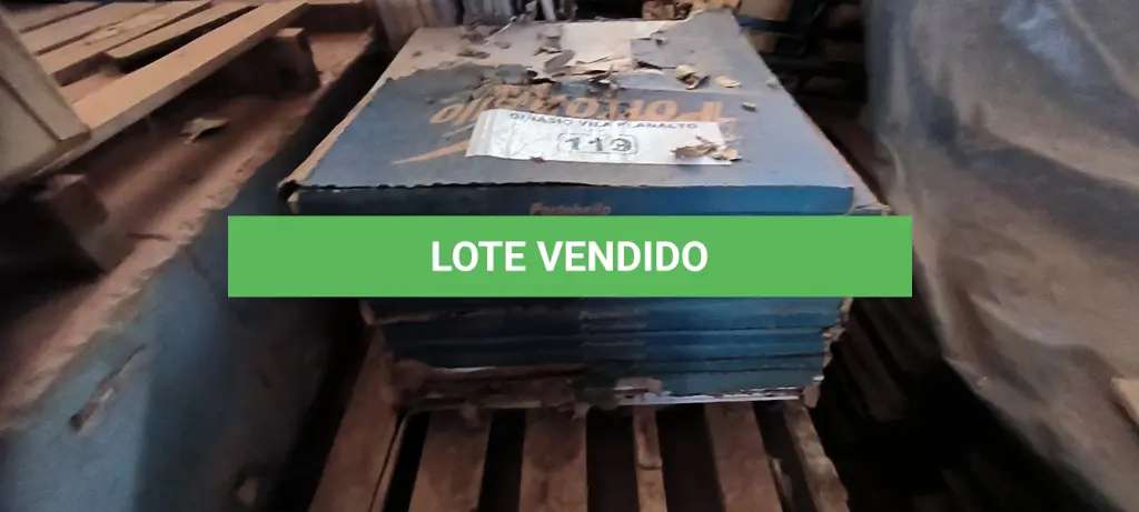 LOTE 119