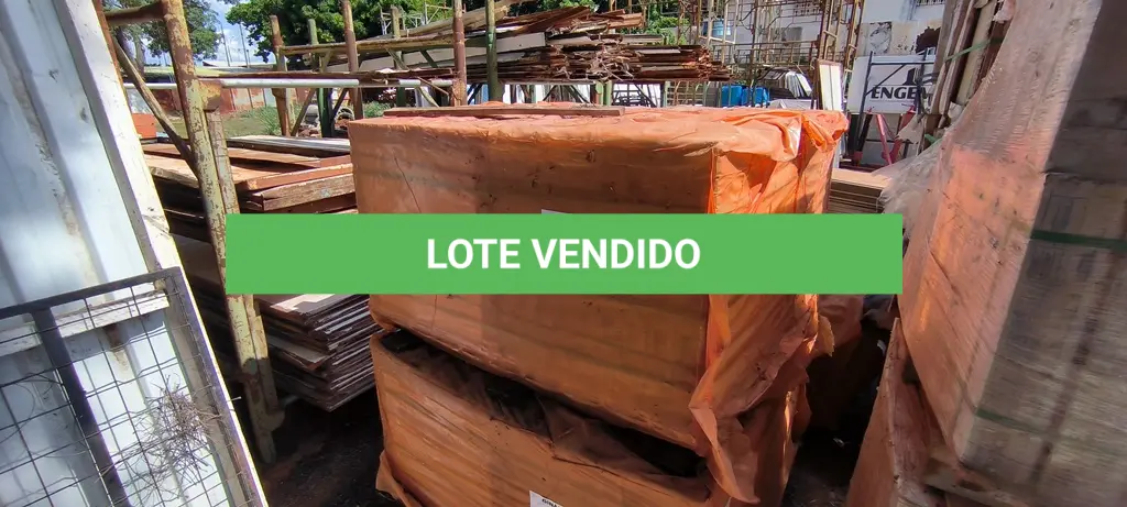 LOTE 301