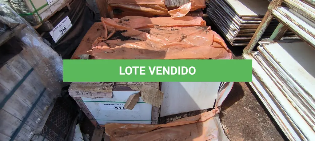 LOTE 311