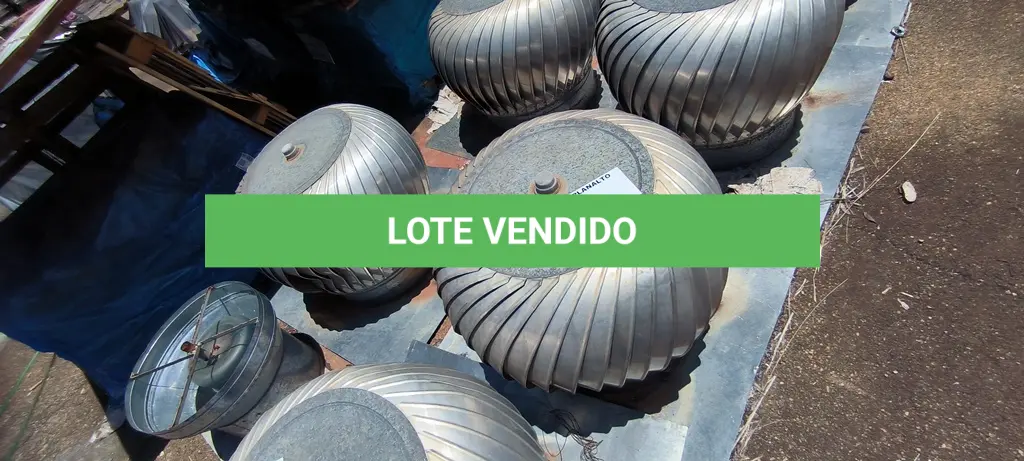 LOTE 256