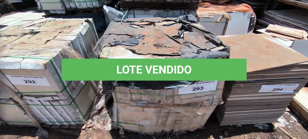 LOTE 293