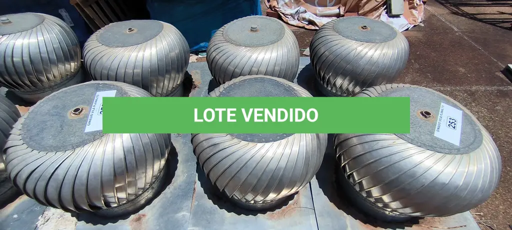 LOTE 254