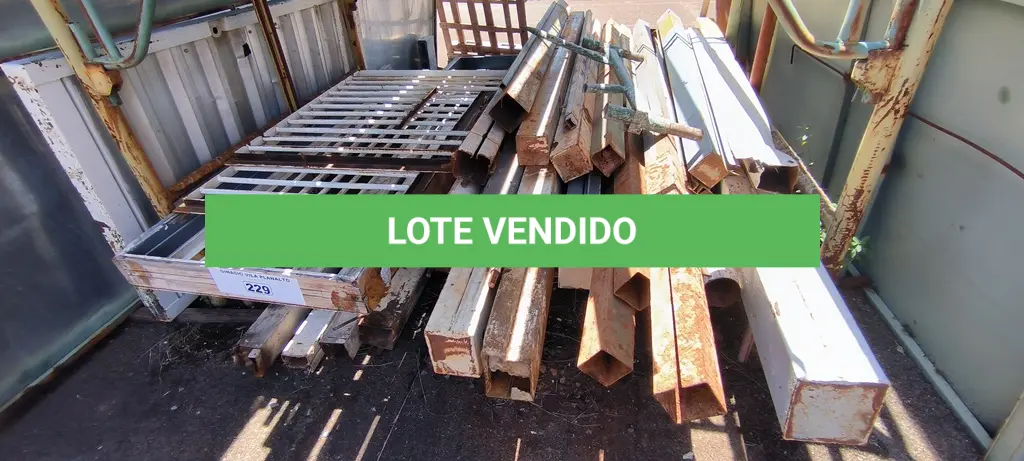 LOTE 229