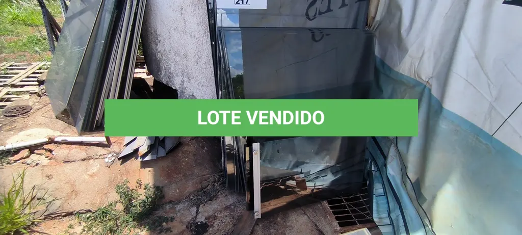LOTE 217