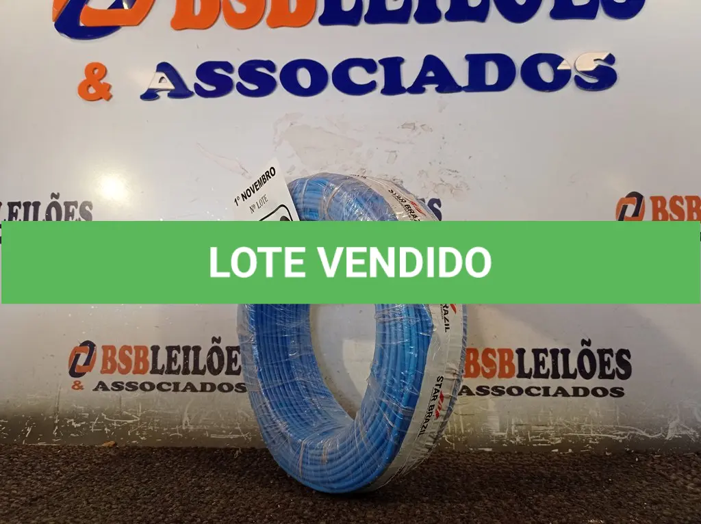 LOTE 110