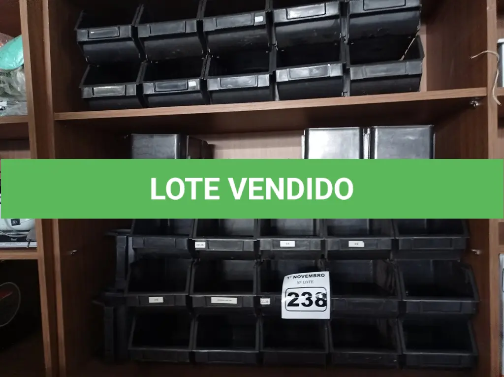 LOTE 238