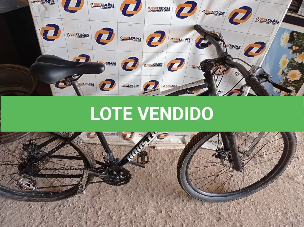 LOTE 175