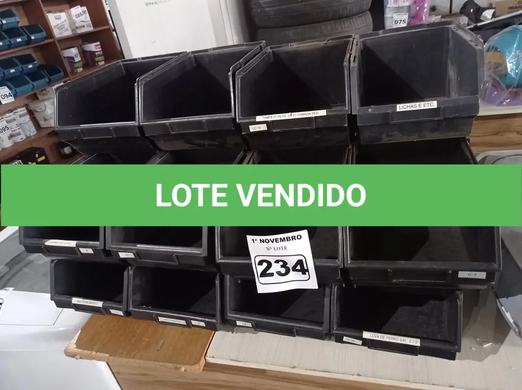 LOTE 234