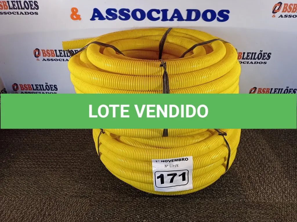 LOTE 171