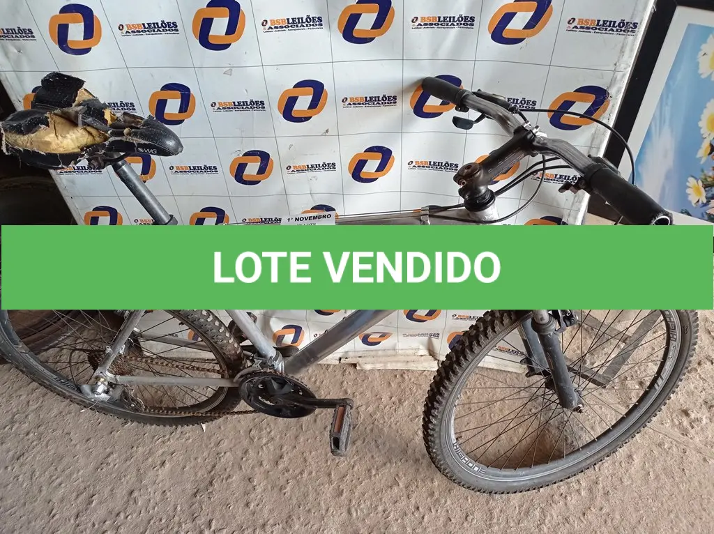 LOTE 155