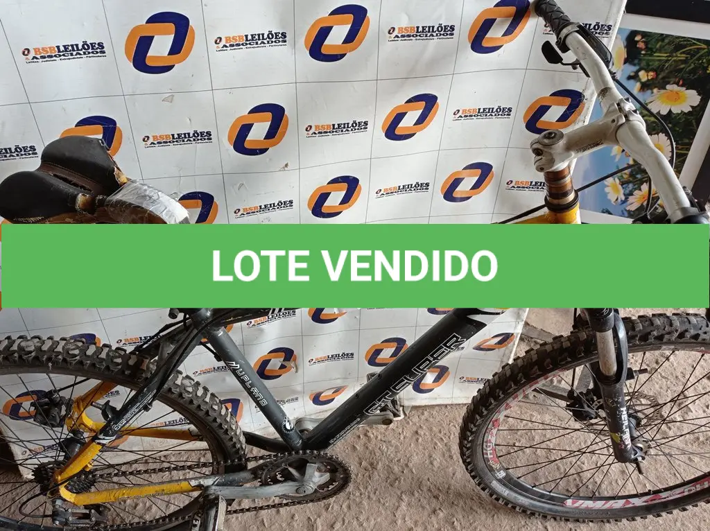 LOTE 165