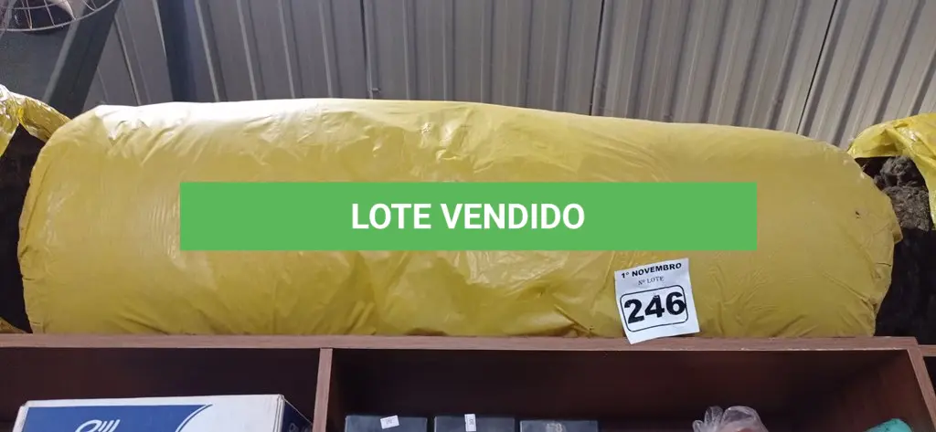 LOTE 246