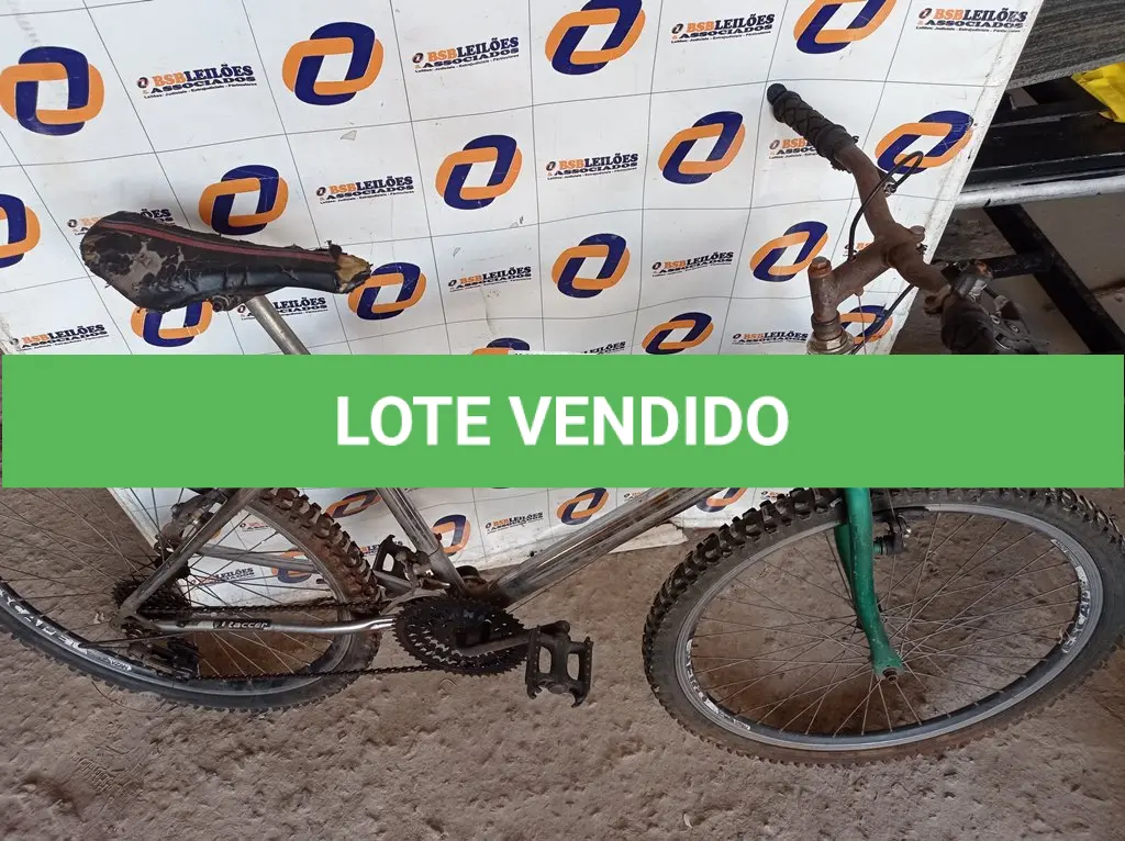 LOTE 205