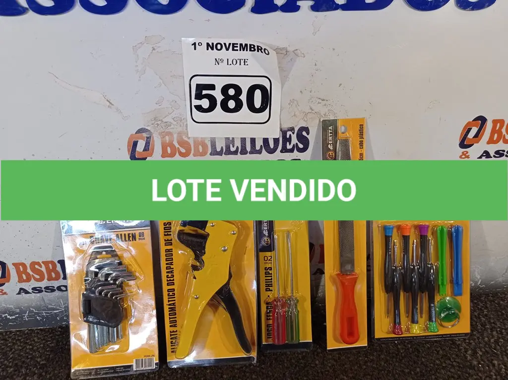 LOTE 580