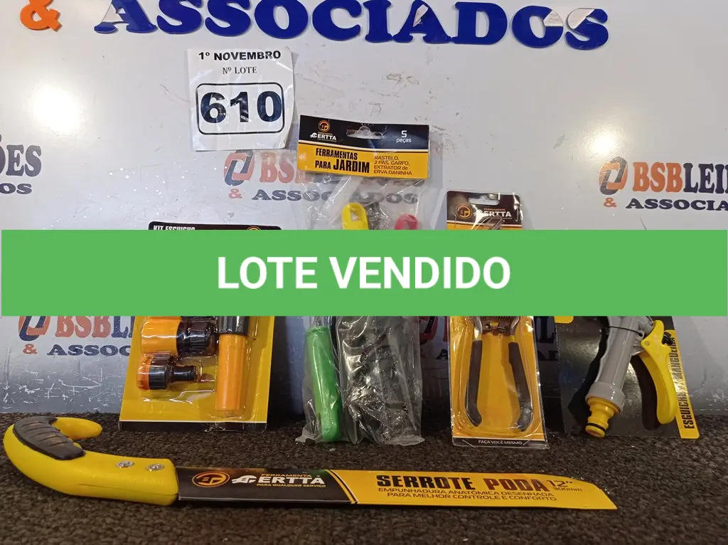 LOTE 610