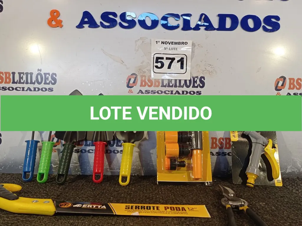 LOTE 571