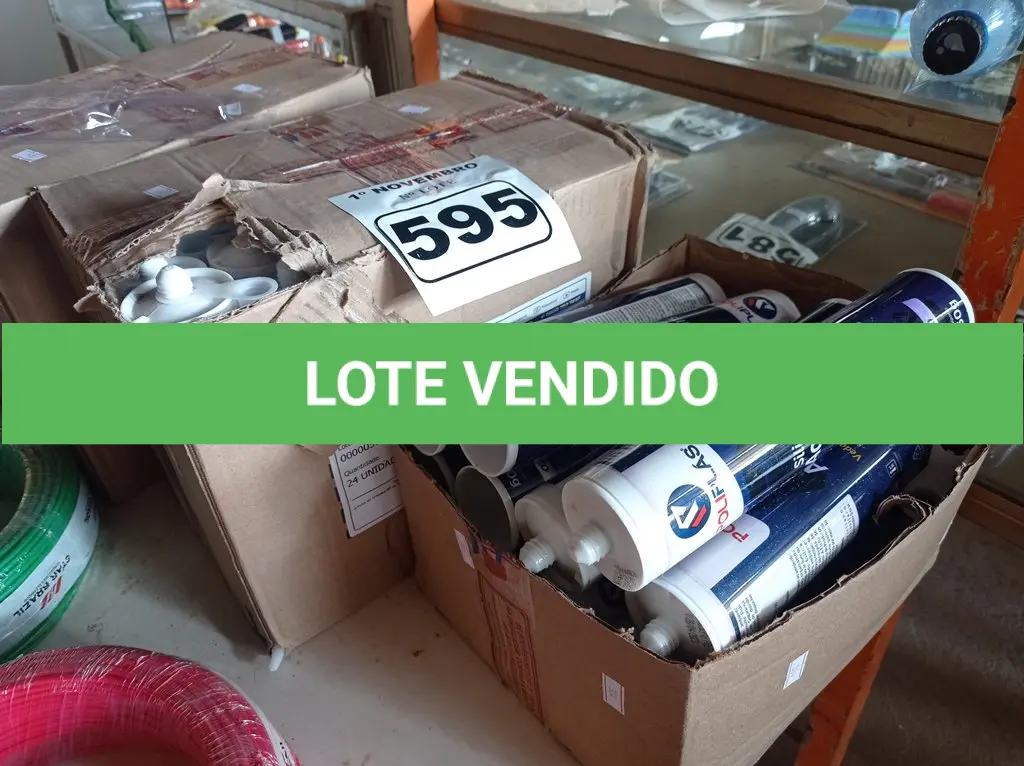 LOTE 595