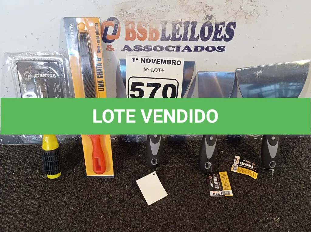 LOTE 570