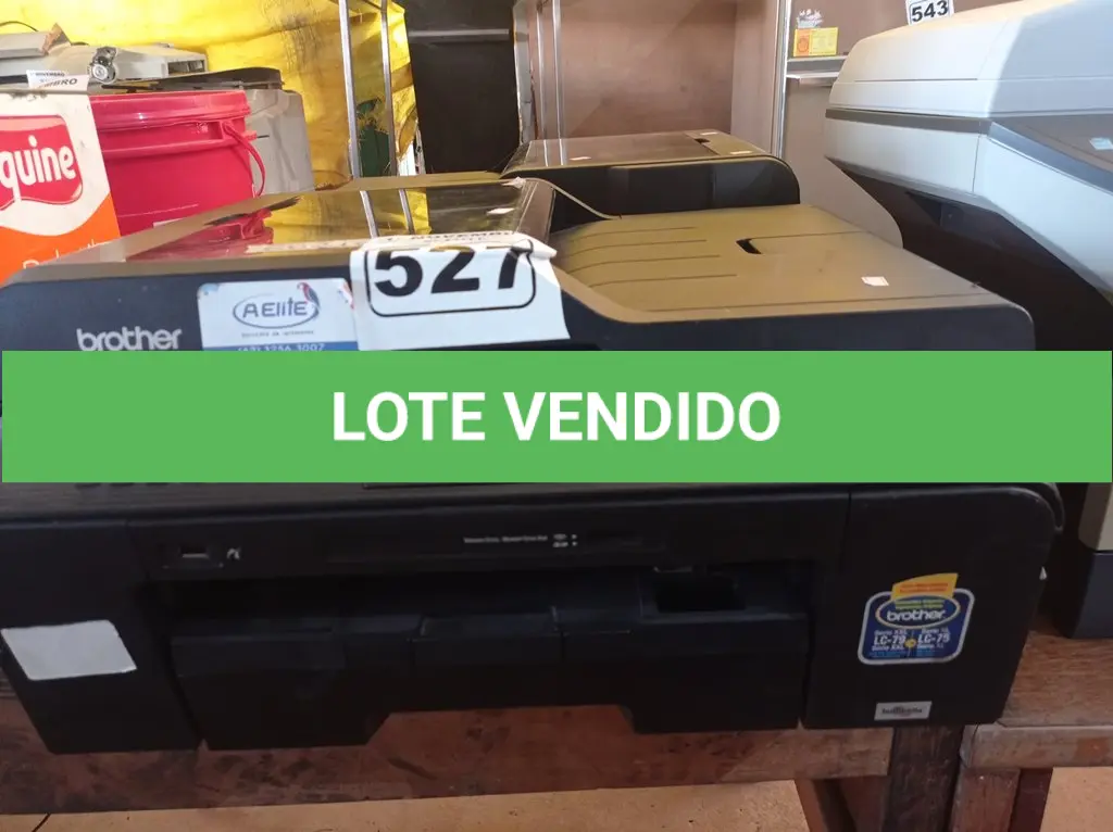 LOTE 527