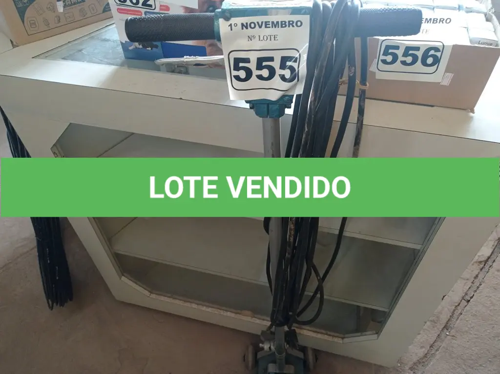LOTE 555