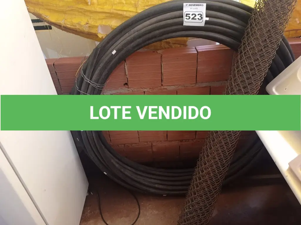 LOTE 523