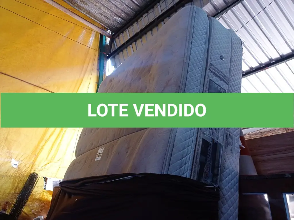 LOTE 520
