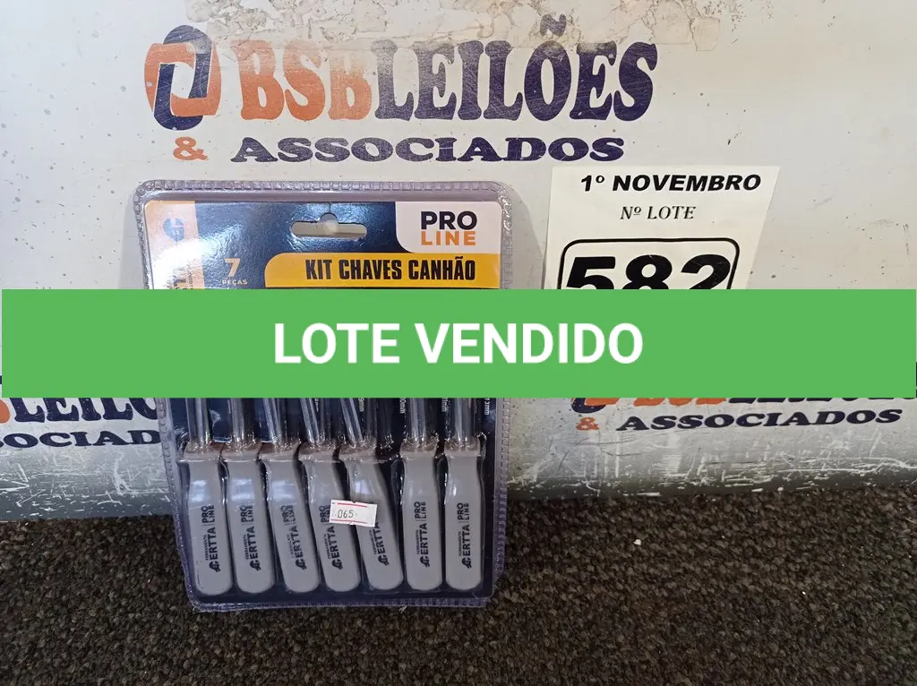 LOTE 582