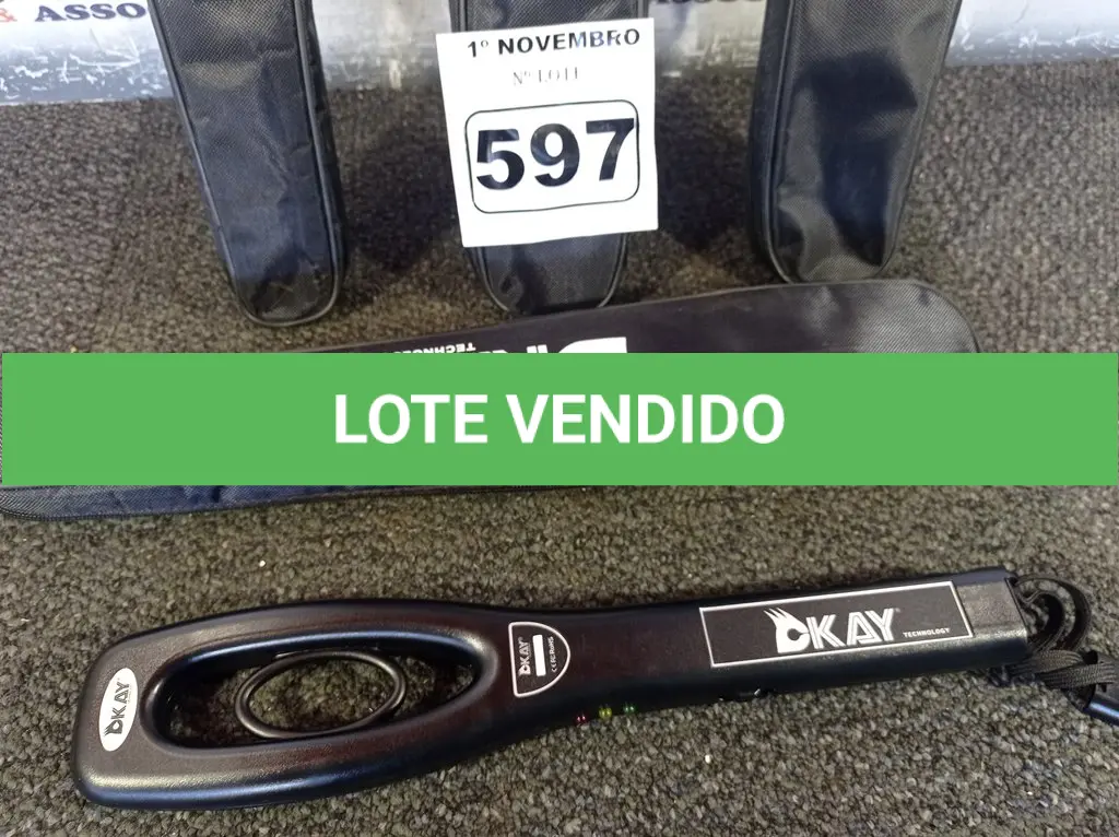 LOTE 597